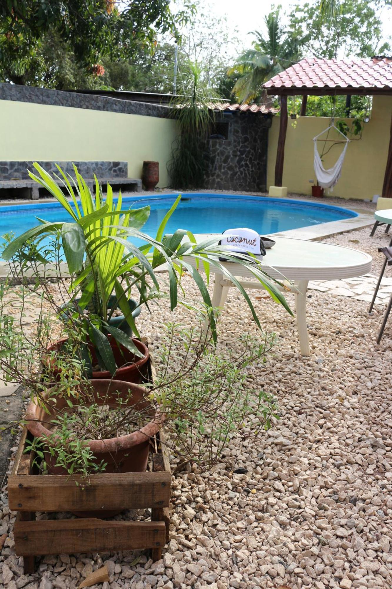 Coconut Beach House Playa Conchal Buitenkant foto